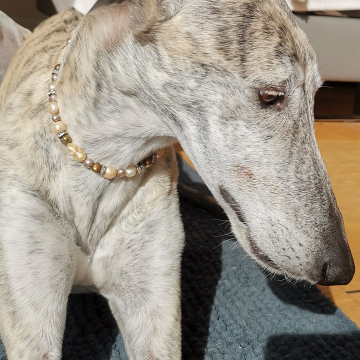 Perlenkette für Hunde Süßwasserperlen Baroque Perlen Strassrondelle Länge 38 cm